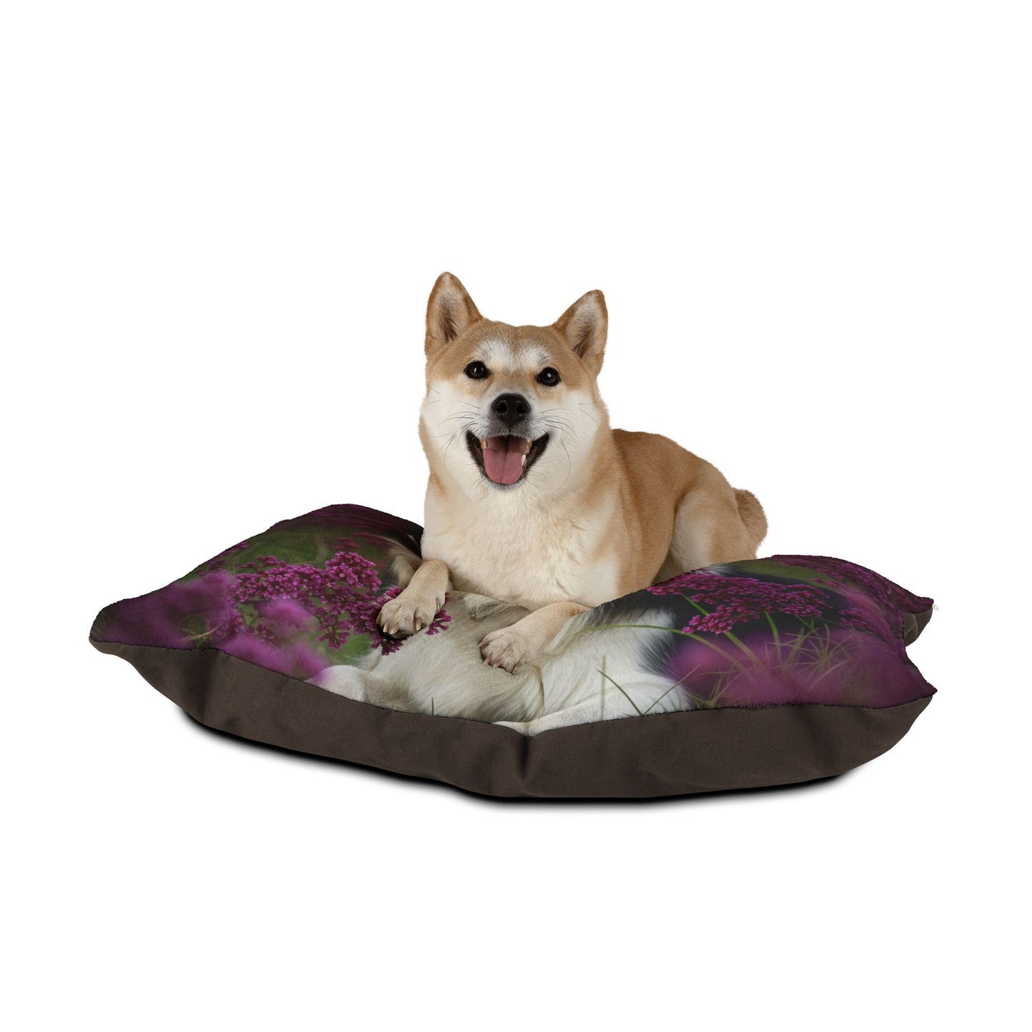 Border Collie Pet Bed