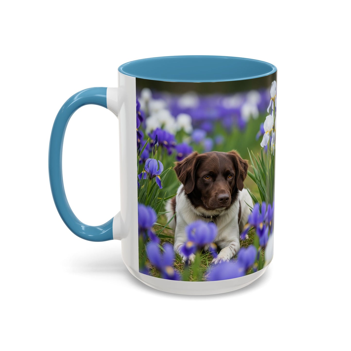 Mug Stabyhouns Accent - Cadeau idéal pour les amoureux des chiens