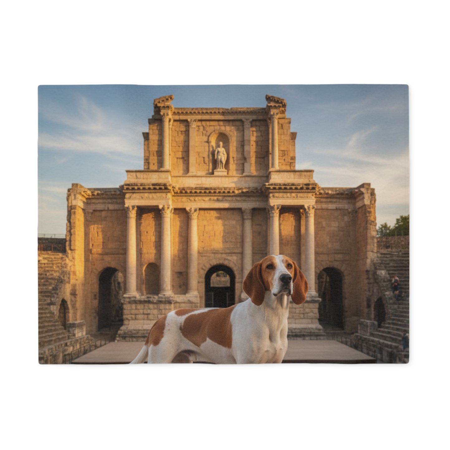 Chien Français Blanc Blanket