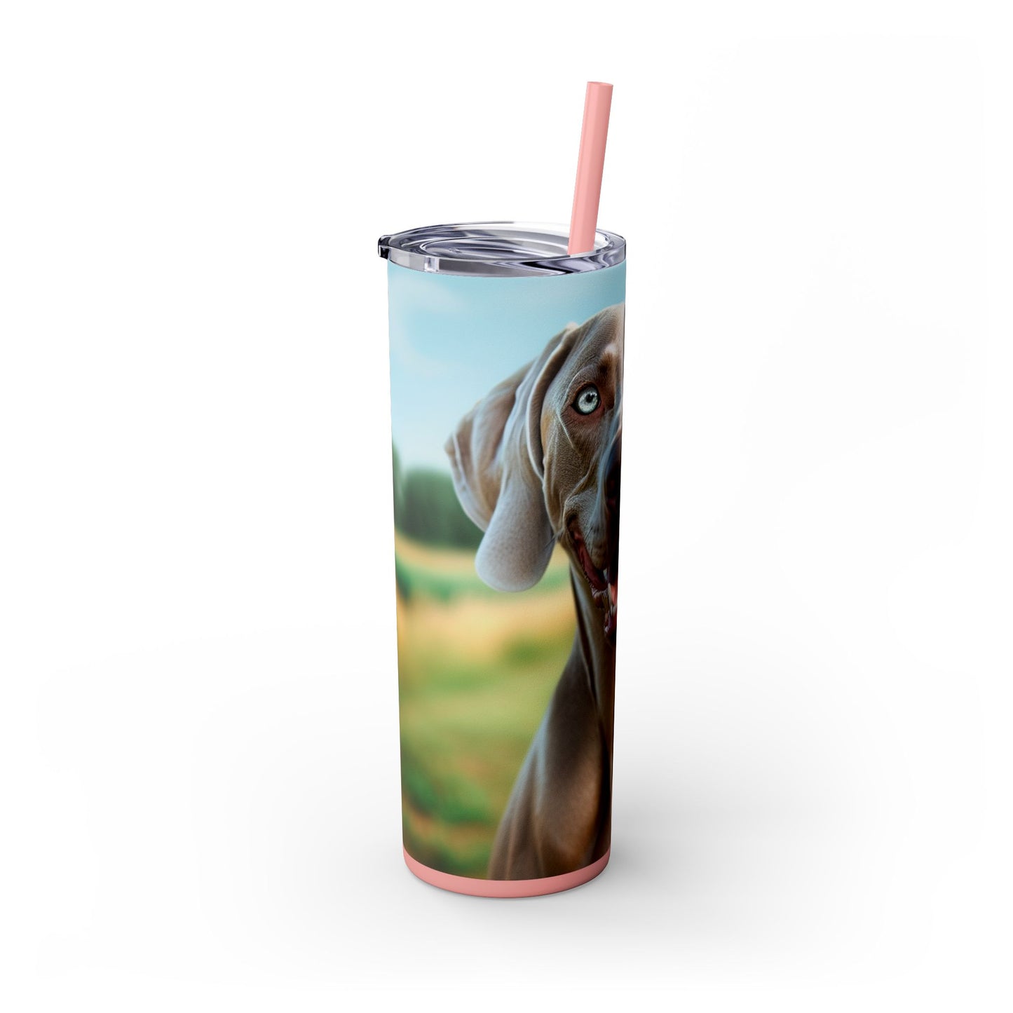 Weimaraner Skinny Tumbler with Straw, 20oz