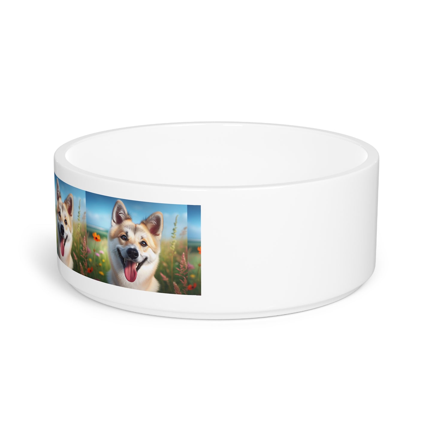 Canaan Dog Pet Bowl