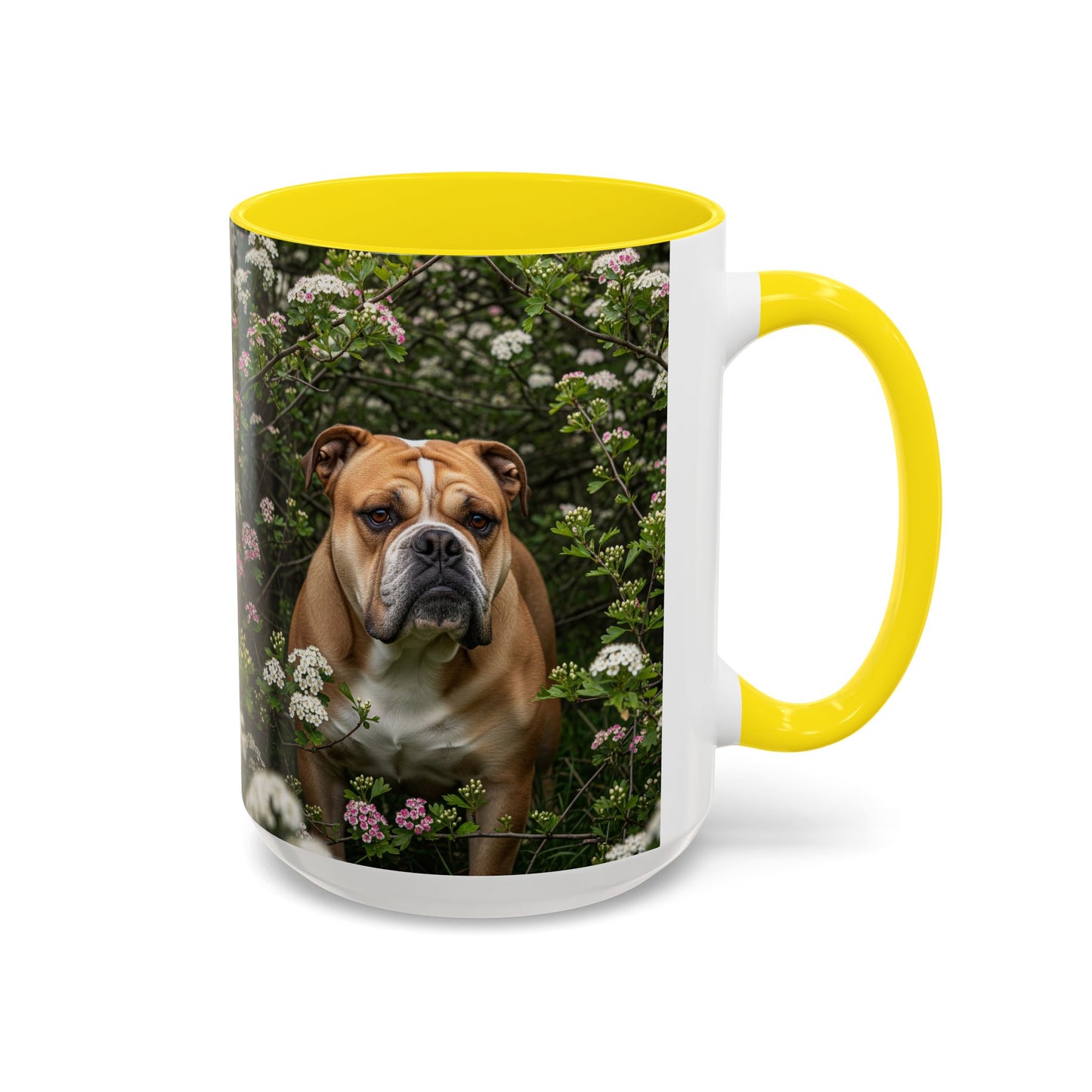 Mug à café Olde English Bulldogge Accent - Cadeau idéal pour les amoureux des chiens