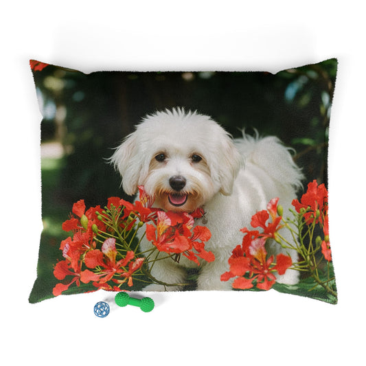 Coton de Tulear Pet Bed