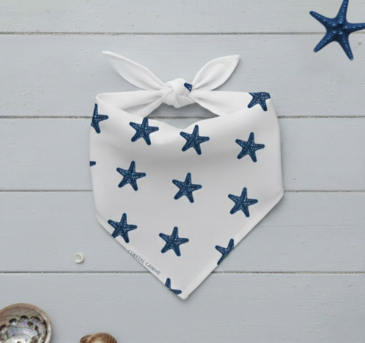 Bandana pour chien à motif d'étoile de mer