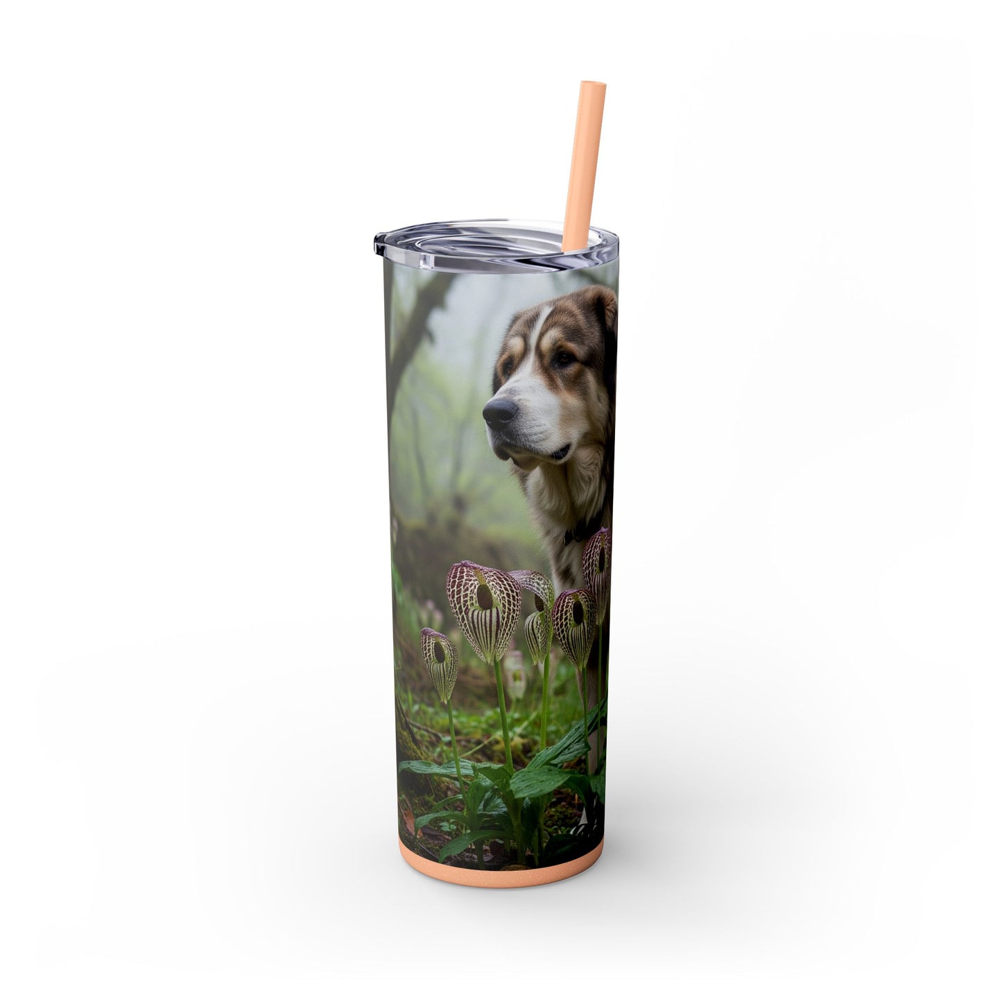 Bakharwal Tumbler with Straw, 20oz