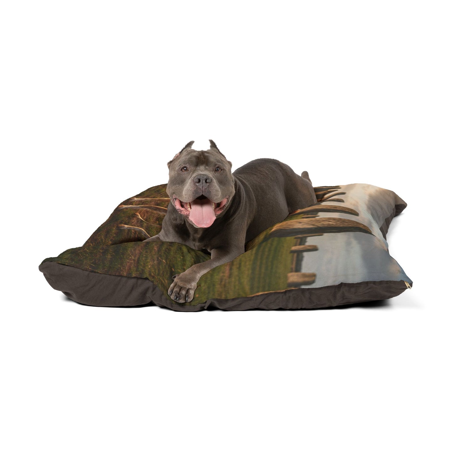 Brittany Spaniel Pet Bed