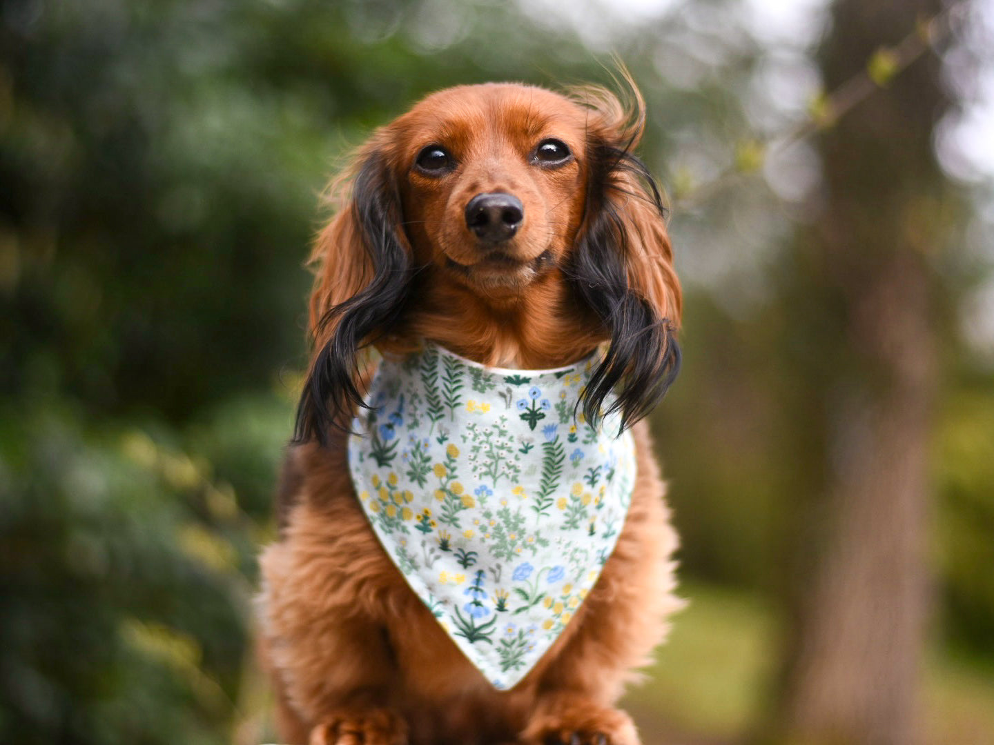 "Red White and Grey Tartan Plaid FLANNEL" Dog Bandana