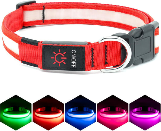 Illuminez les promenades nocturnes de votre chien avec notre collier LED ajustable ! 🌟 Rechargeable par USB et ultra-sécurisé ! 🐾❤️