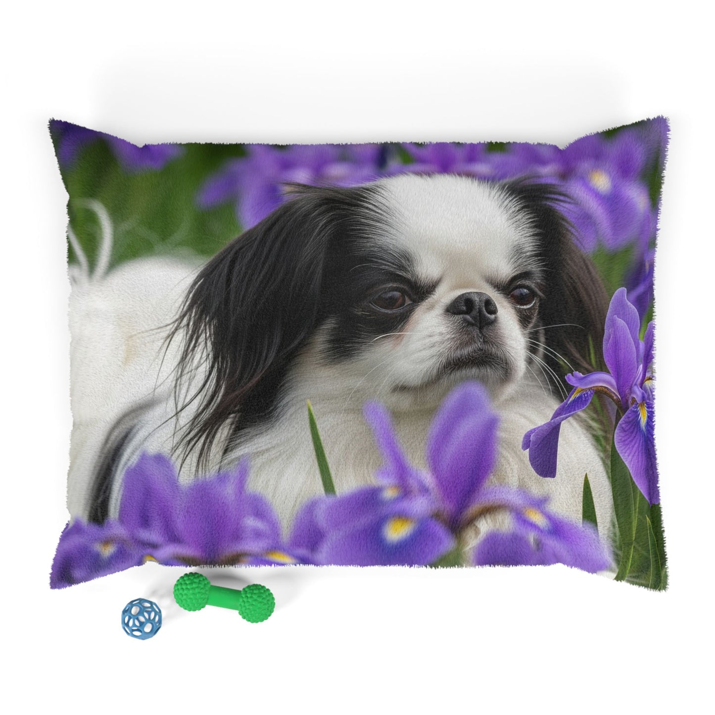 Japanese Chin Pet Bed
