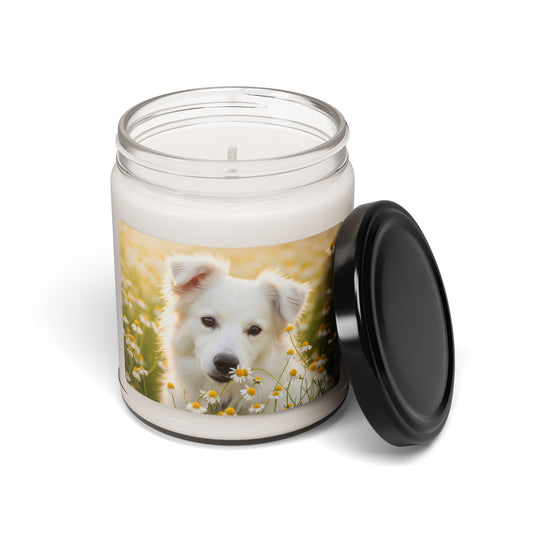 Russkaya Tsvetnaya Bolonka- Scented Soy Candle, 9oz