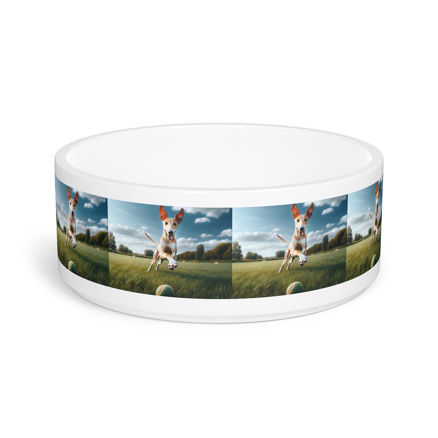 Ibizan Hound Pet Bowl