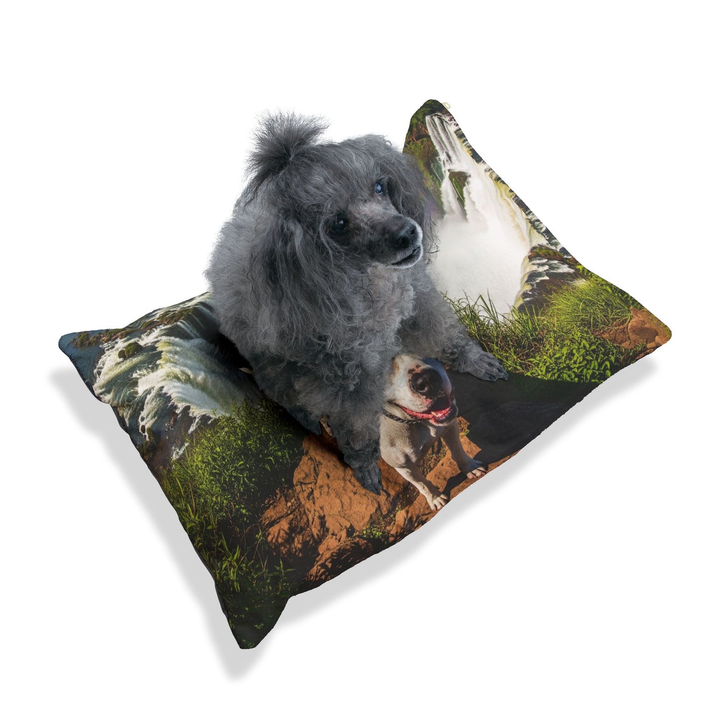 Dogo Argentino Pet Bed