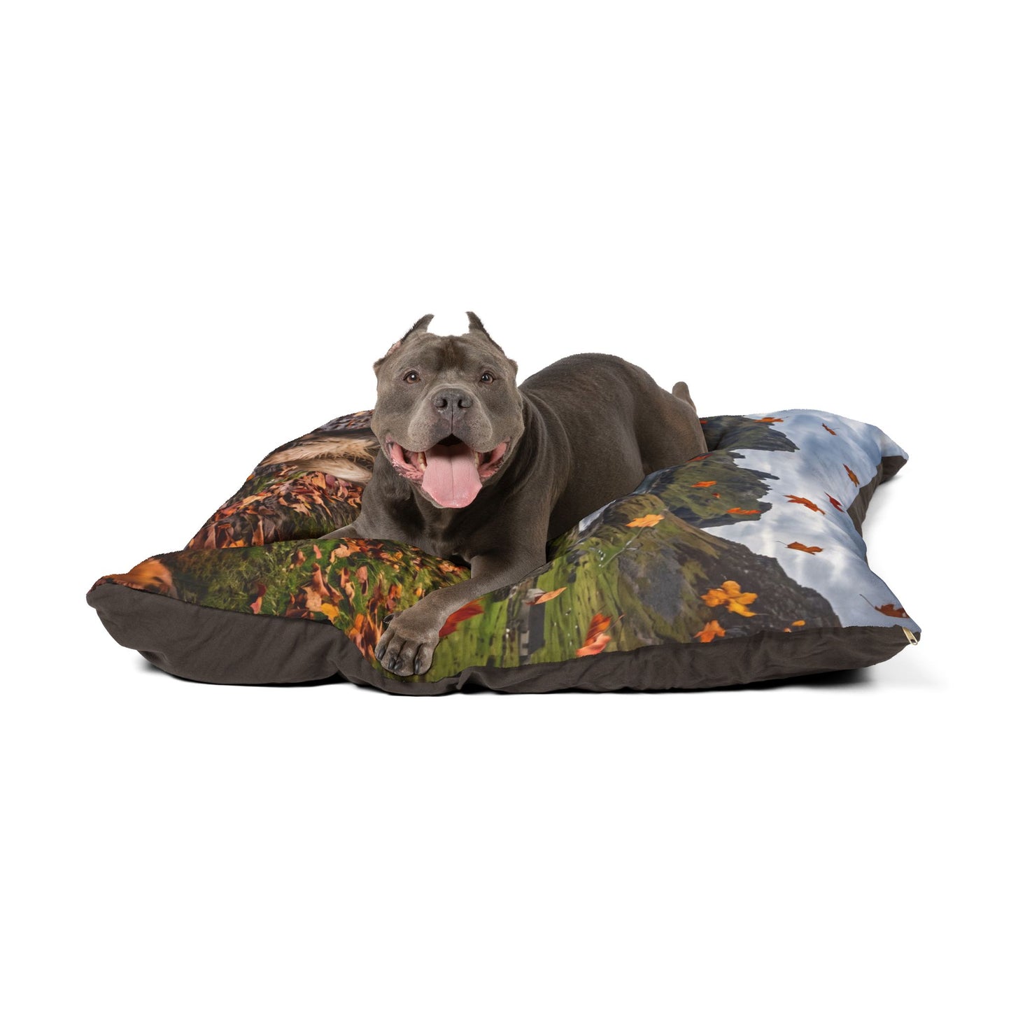 Bearded Collie Pet Bed
