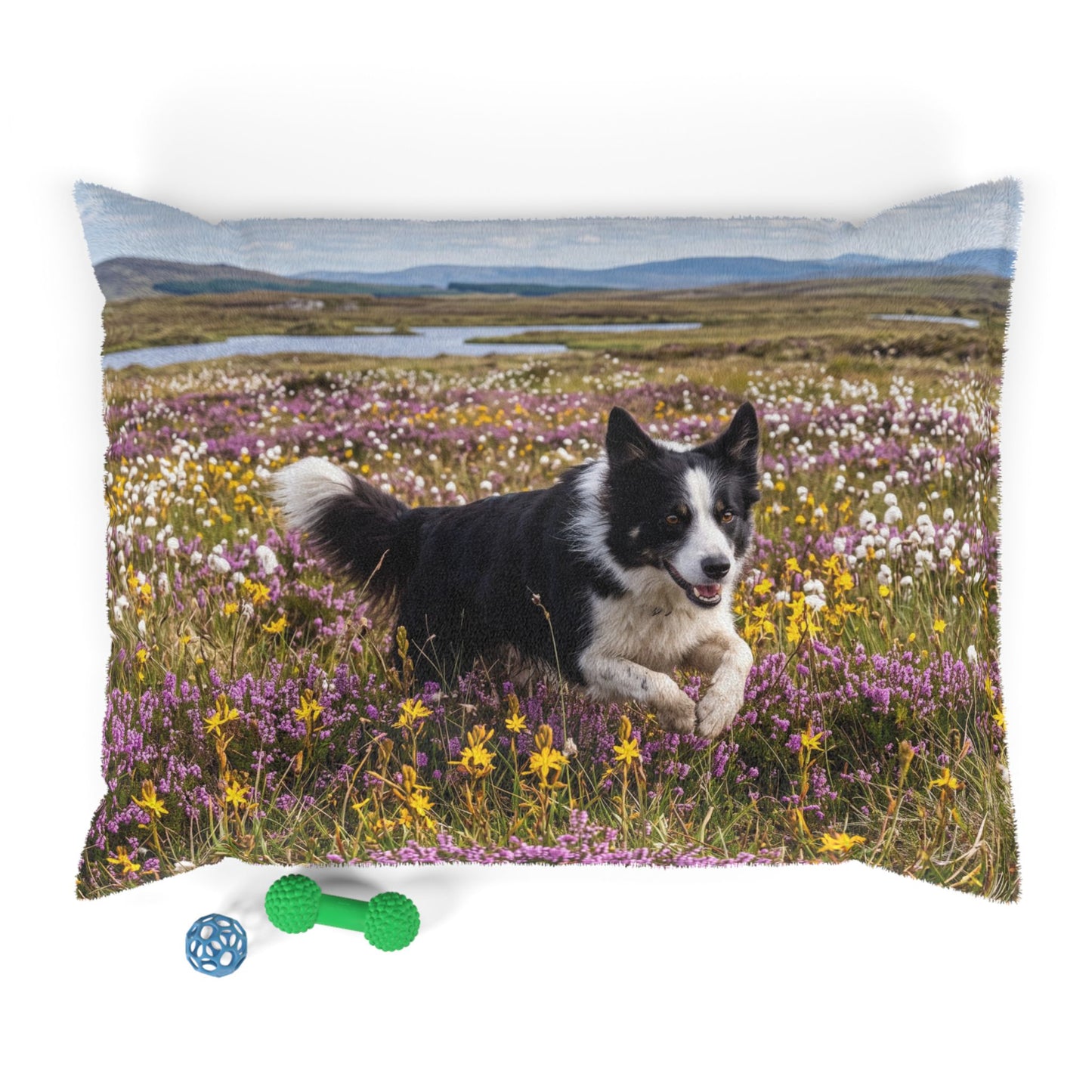 Border Collie Pet Bed