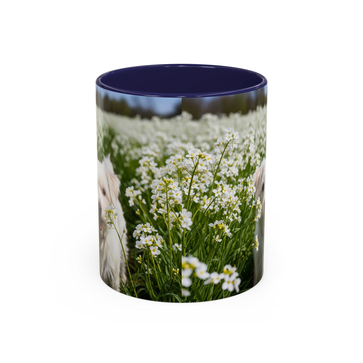 Taza de café con acento Kromfohrlander: el regalo perfecto para los amantes de los perros