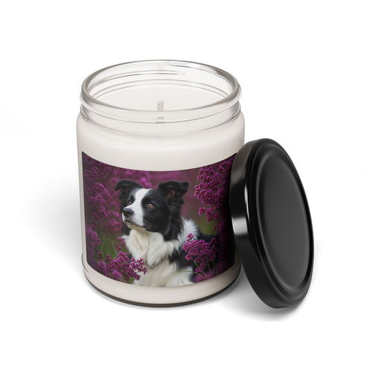 Border Collie- Scented Soy Candle, 9oz