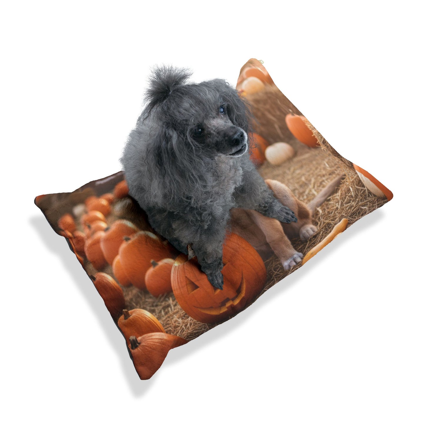 Autumn Pumpkin Patch Pet Bed