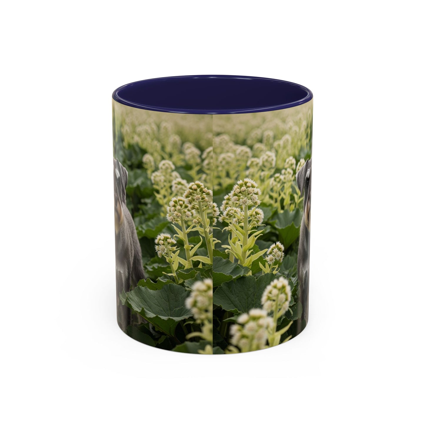 Mug à café avec motif Schnauzer standard - Cadeau idéal pour les amoureux des chiens