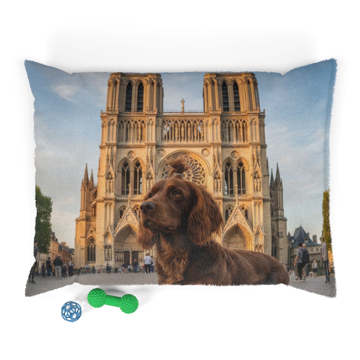 Pont-Audemer Spaniel Pet Bed