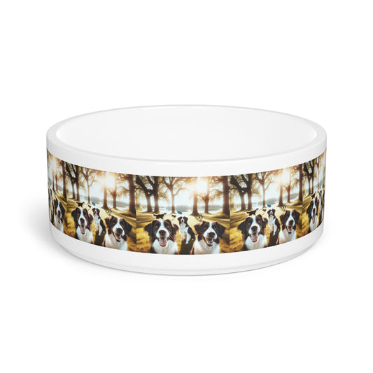 Stabyhouns Pet Bowl