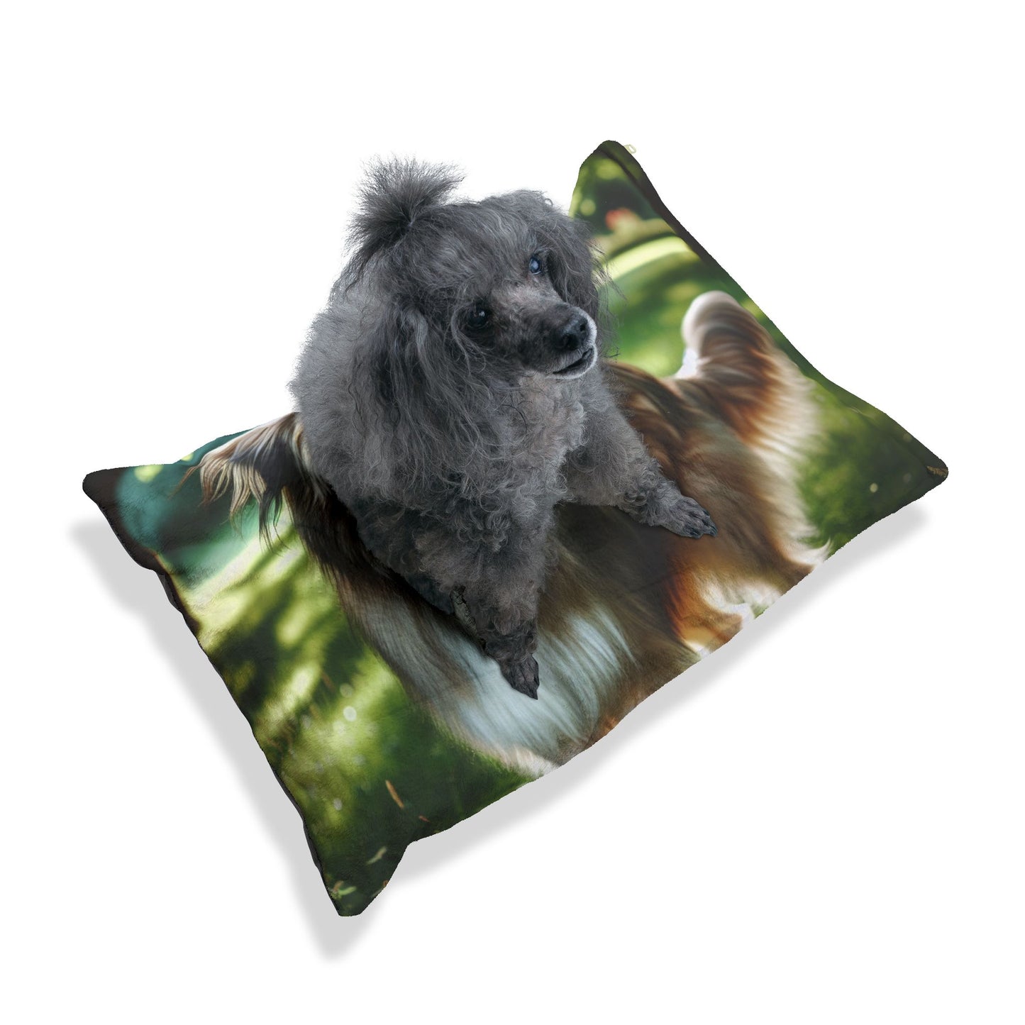 Pyrenean Shepherd Pet Bed