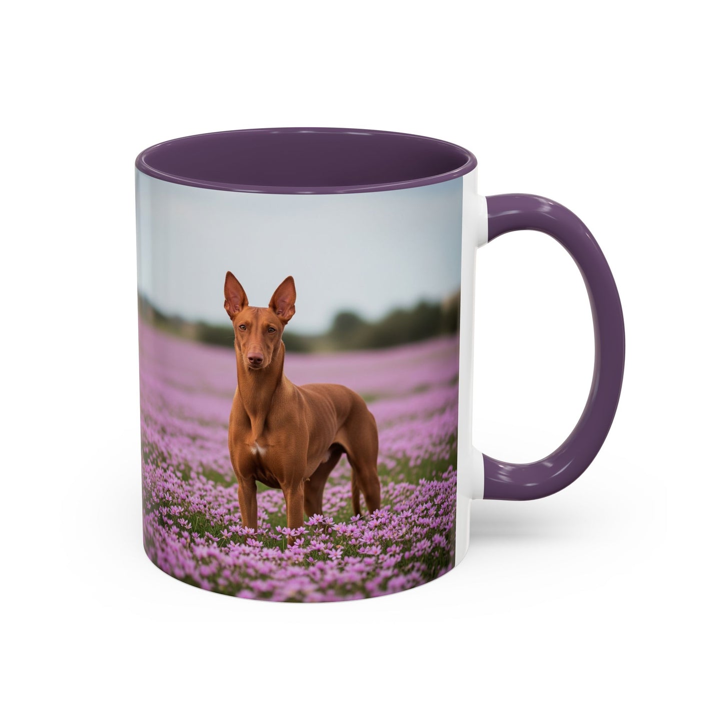 Taza de café con diseño de Pharaoh Hound: el regalo perfecto para los amantes de los perros.