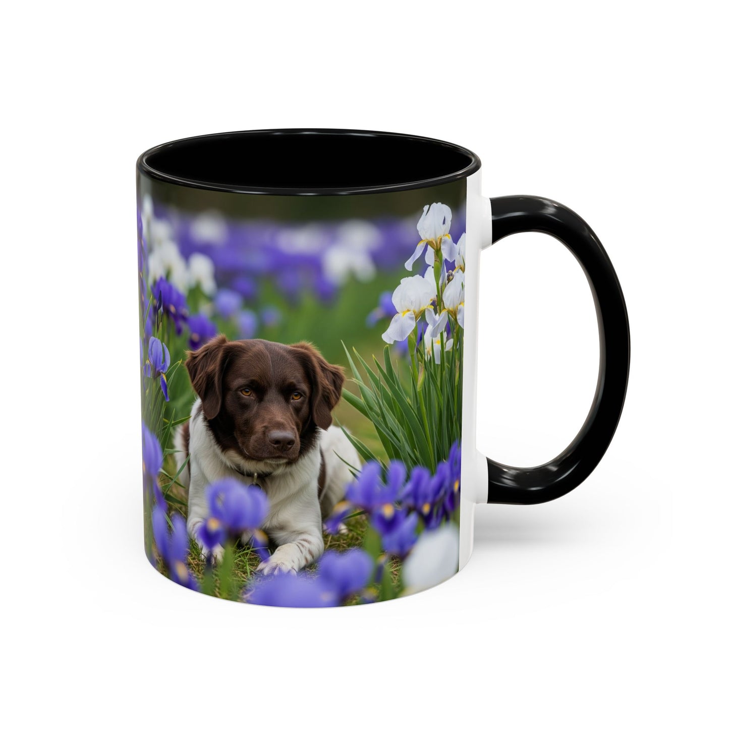 Mug Stabyhouns Accent - Cadeau idéal pour les amoureux des chiens