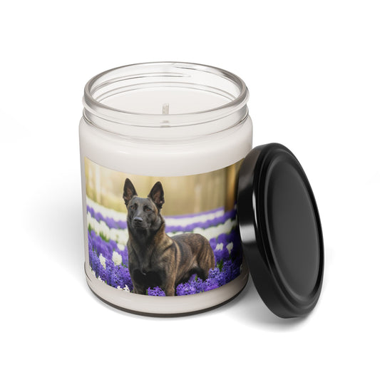 Dutch Shepherd Dog- Scented Soy Candle, 9oz