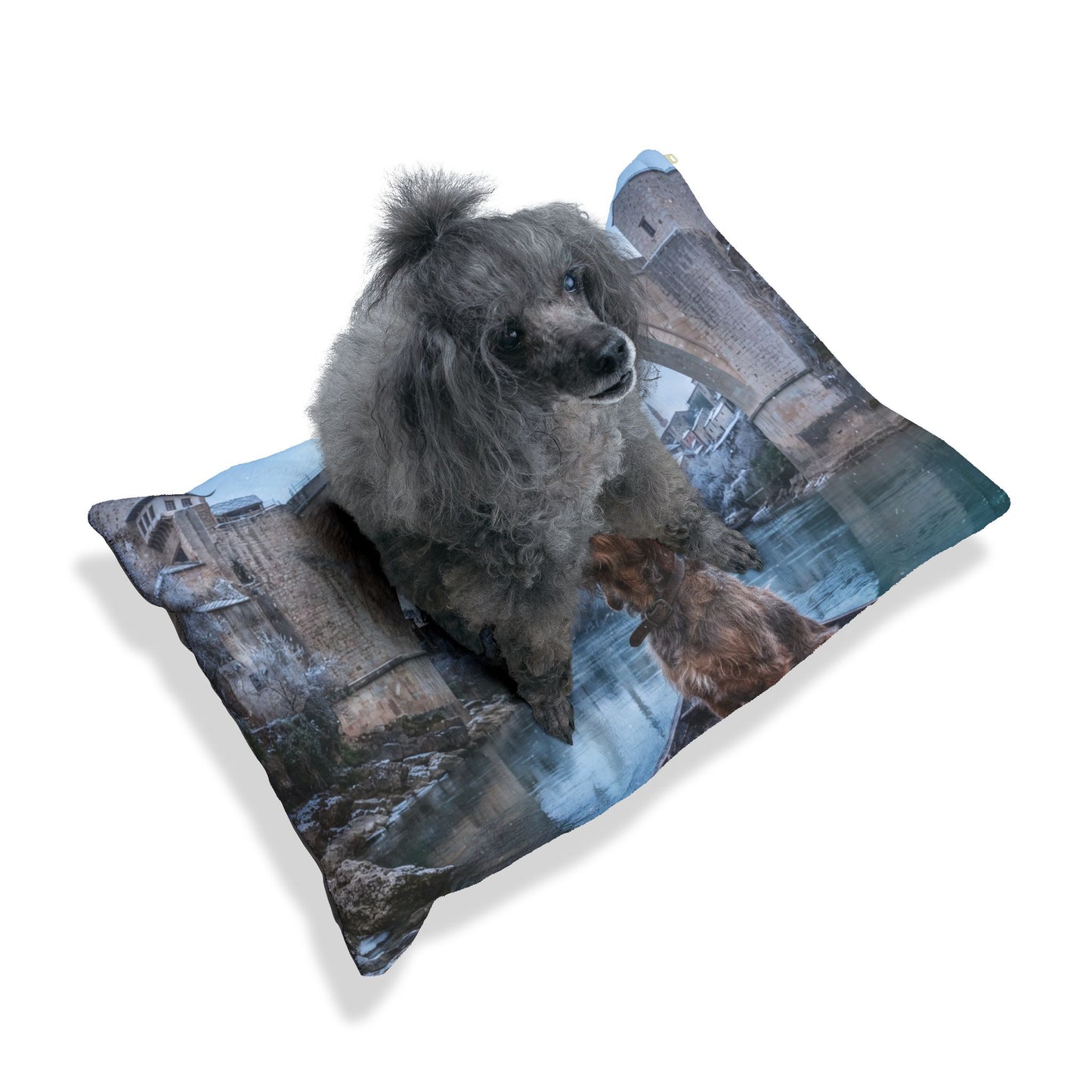 Barak Dog Pet Bed