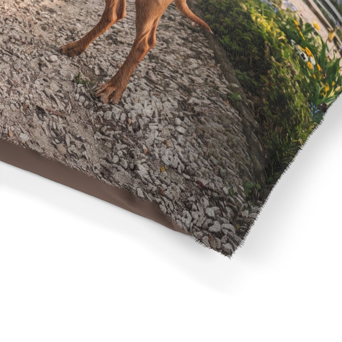 Cirneco dell'Etna Pet Bed
