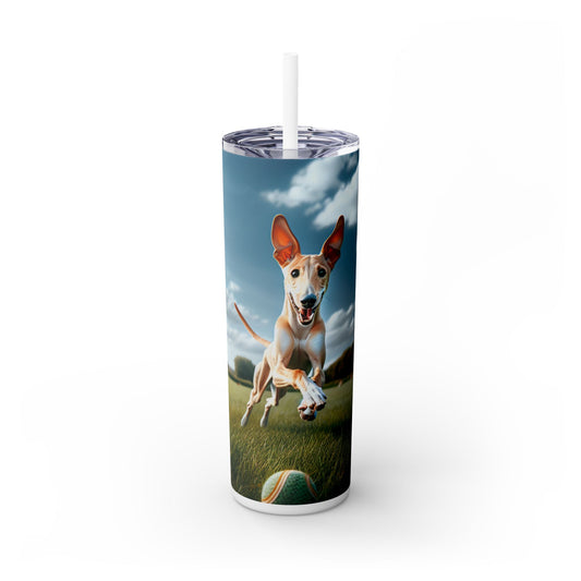 Ibizan Hound Tumbler with Straw, 20oz