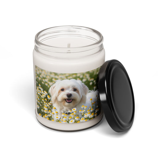 Havamalt- Scented Soy Candle, 9oz