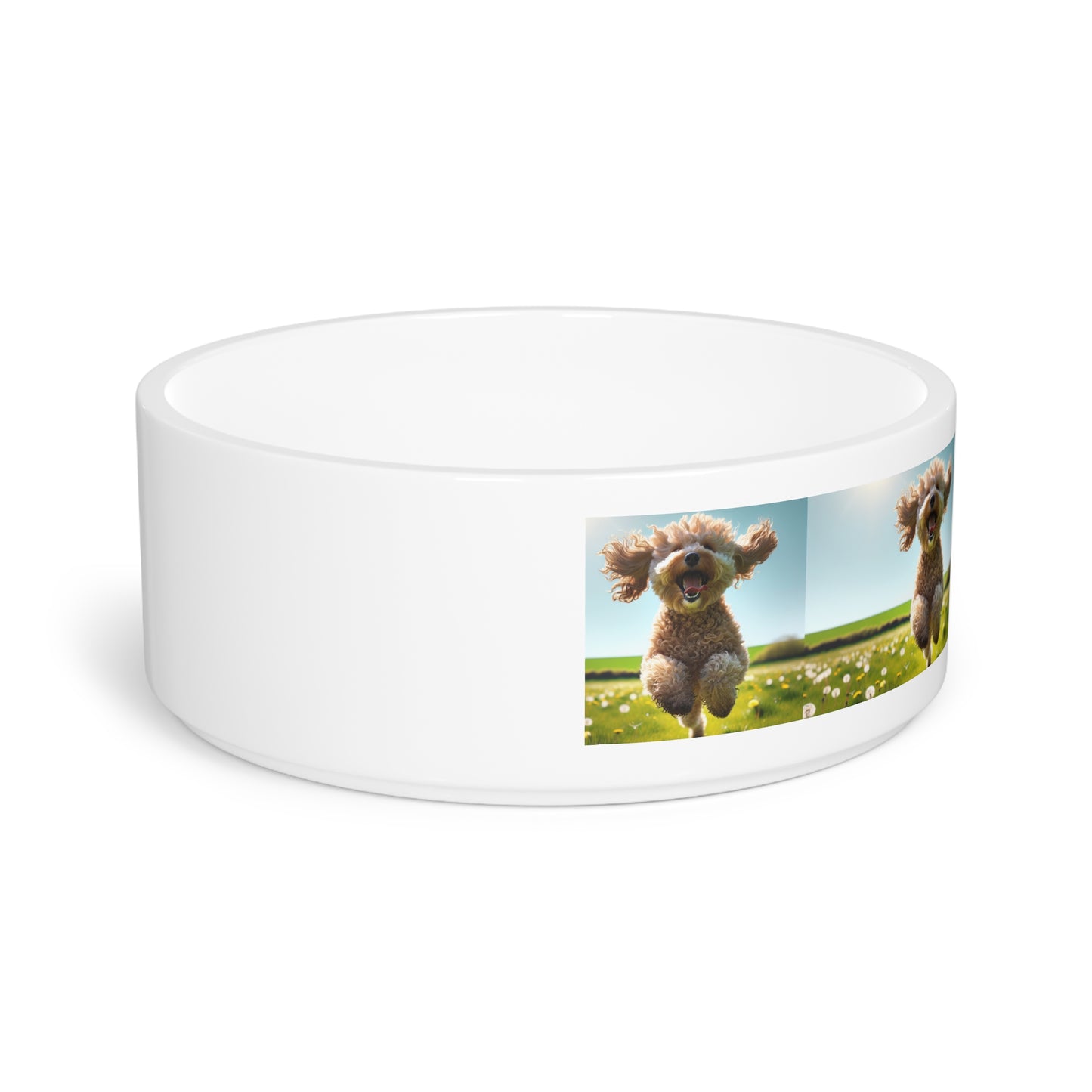 Spoodle Pet Bowl