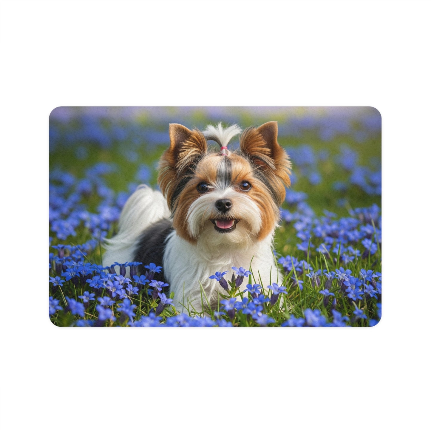 Pet Food Mat (12x18) - Biewer Terrier