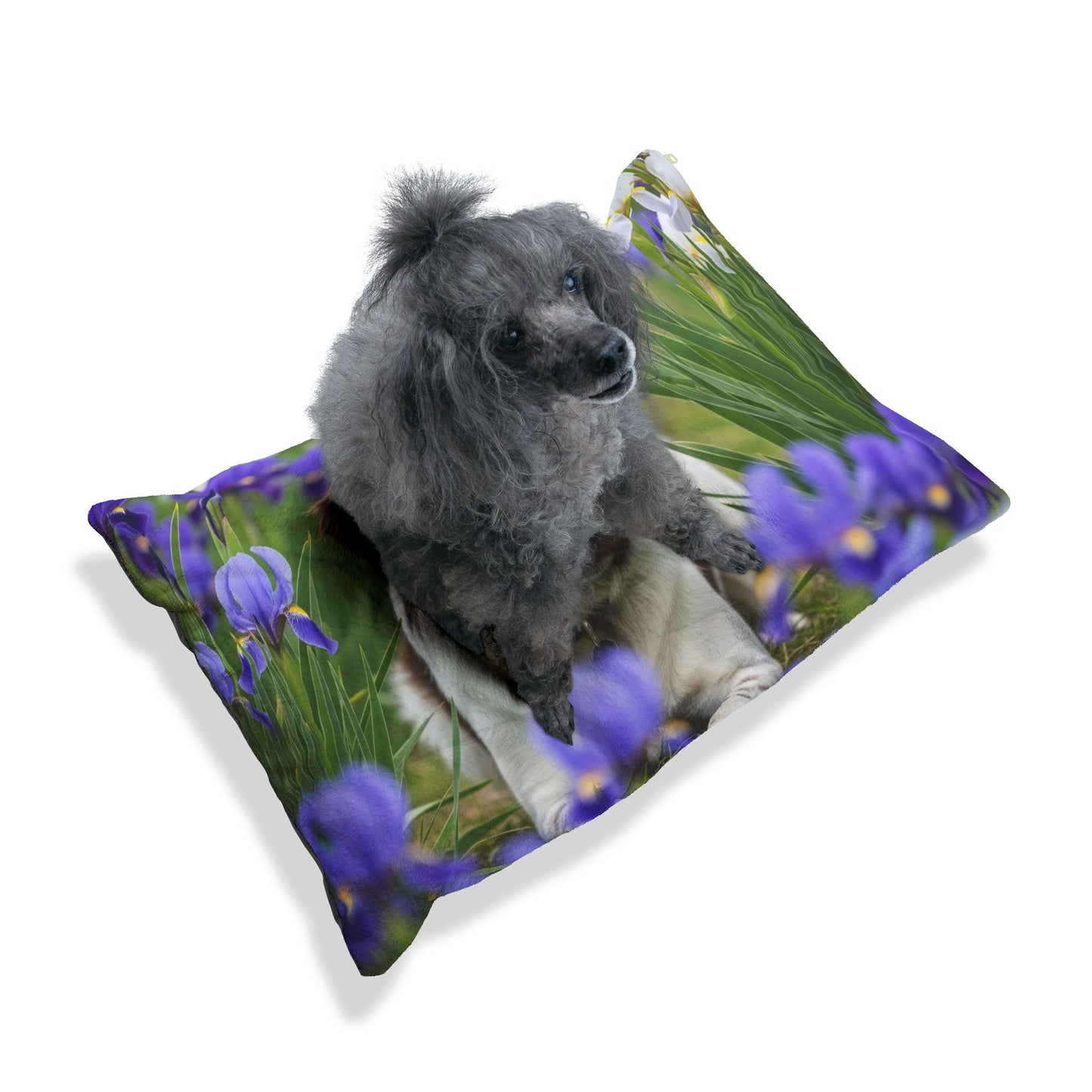 Lit pour animaux Stabyhouns