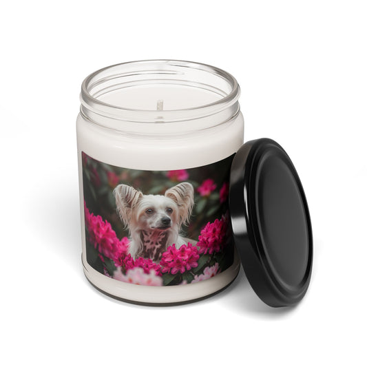 Bougie parfumée au soja, motif chien chinois à crête, 255 g 
