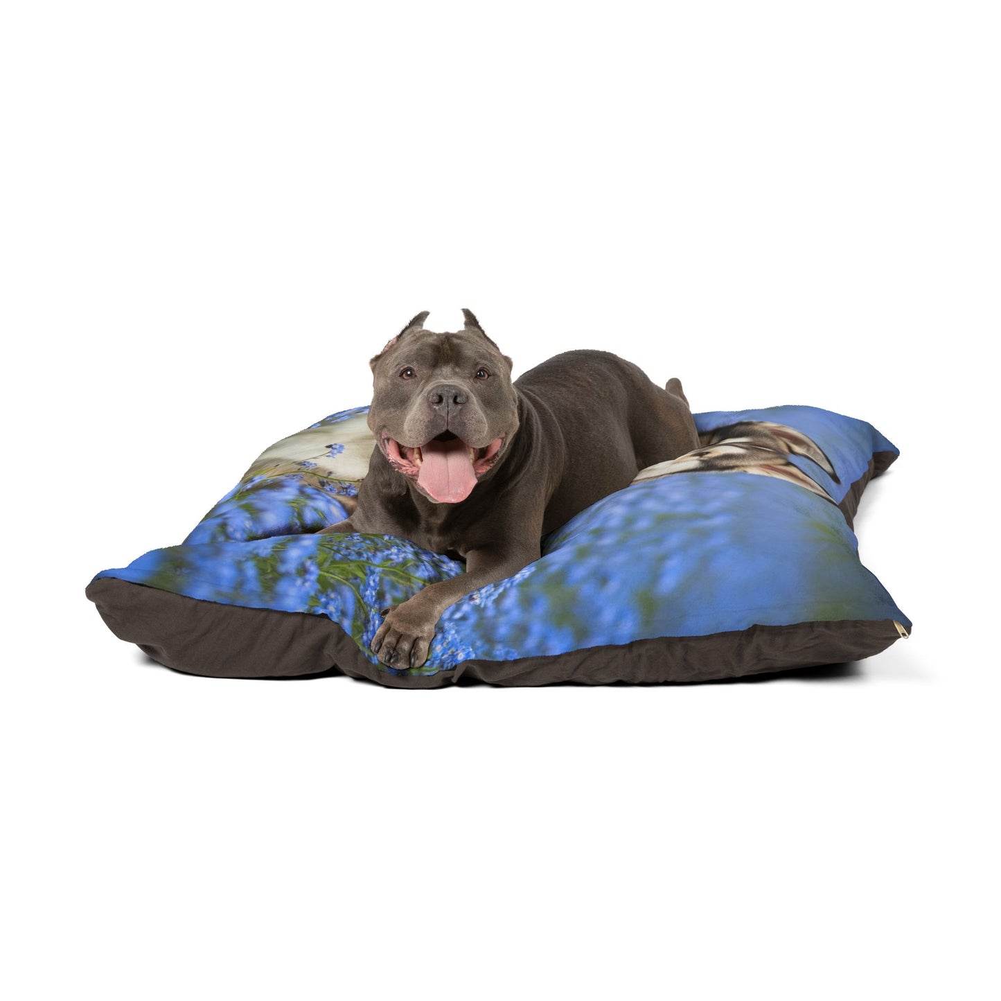 Alaskan Klee Kai Pet Bed
