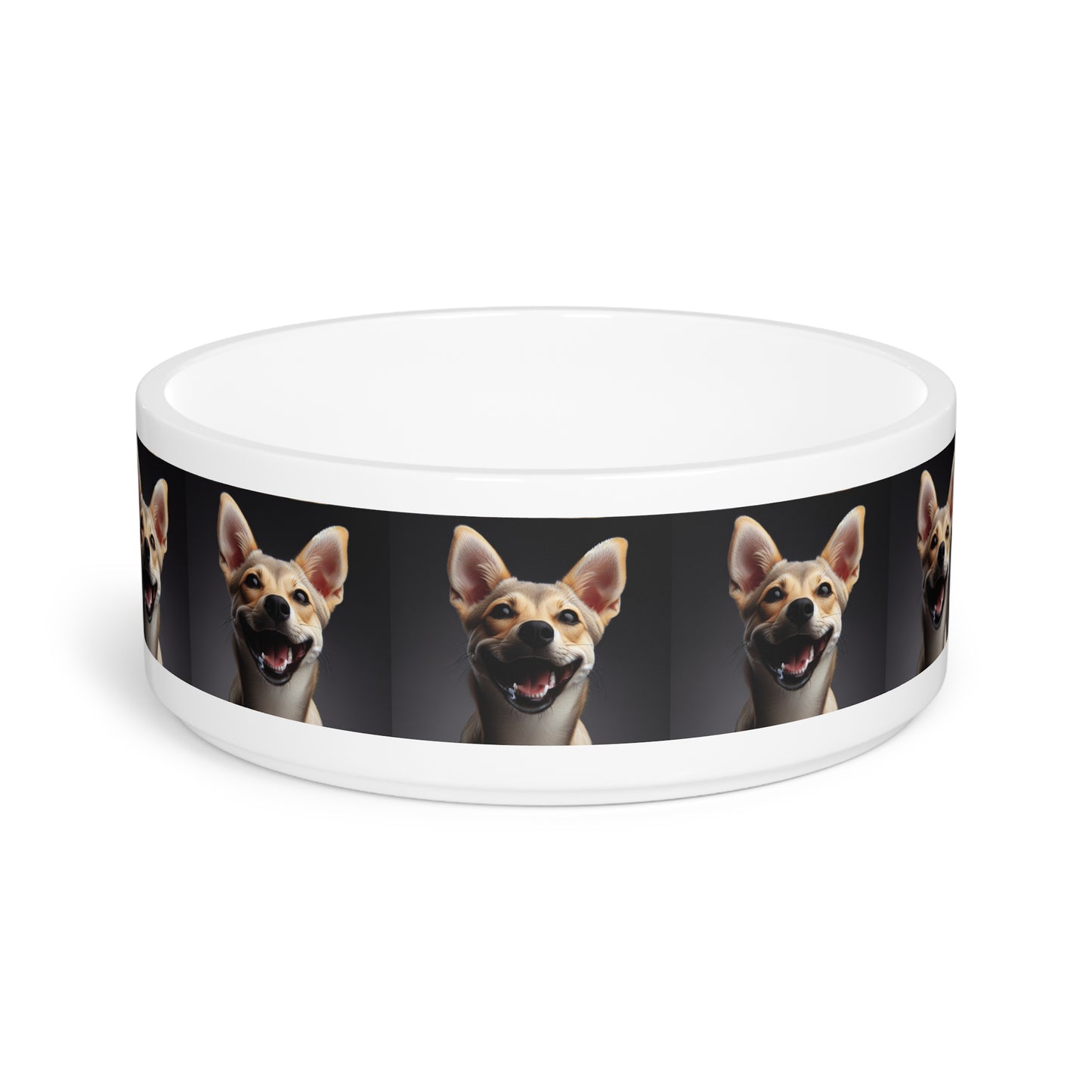 Chippiparai Pet Bowl