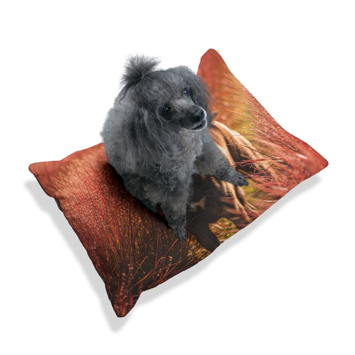 Kai Ken Pet Bed