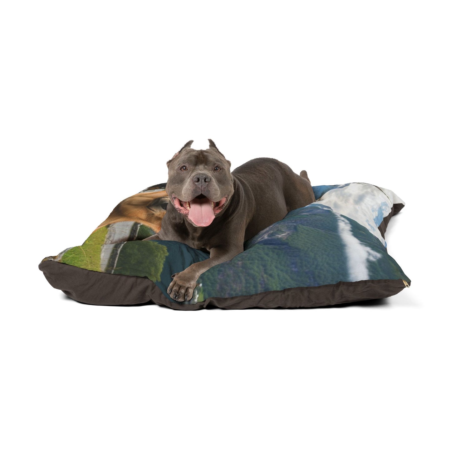 Norwegian Buhund Pet Bed