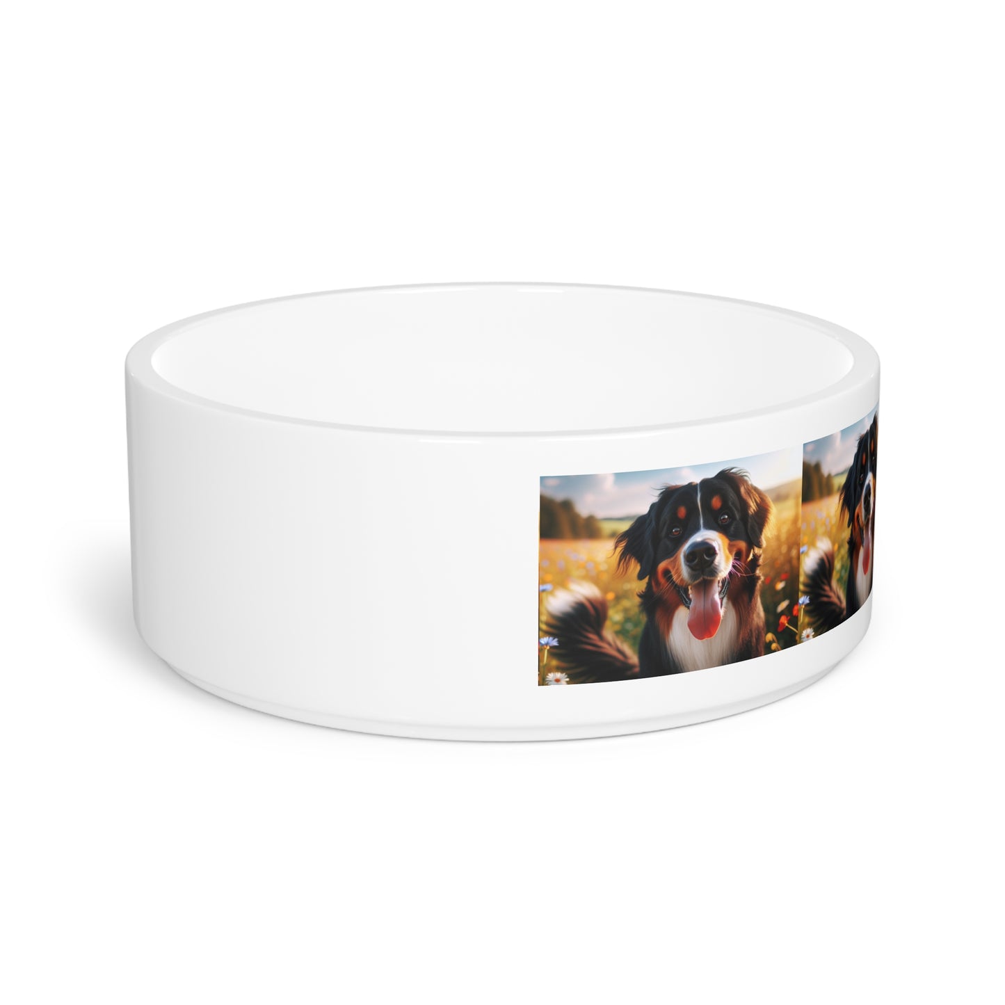 Bernese Mountain Dog Pet Bowl