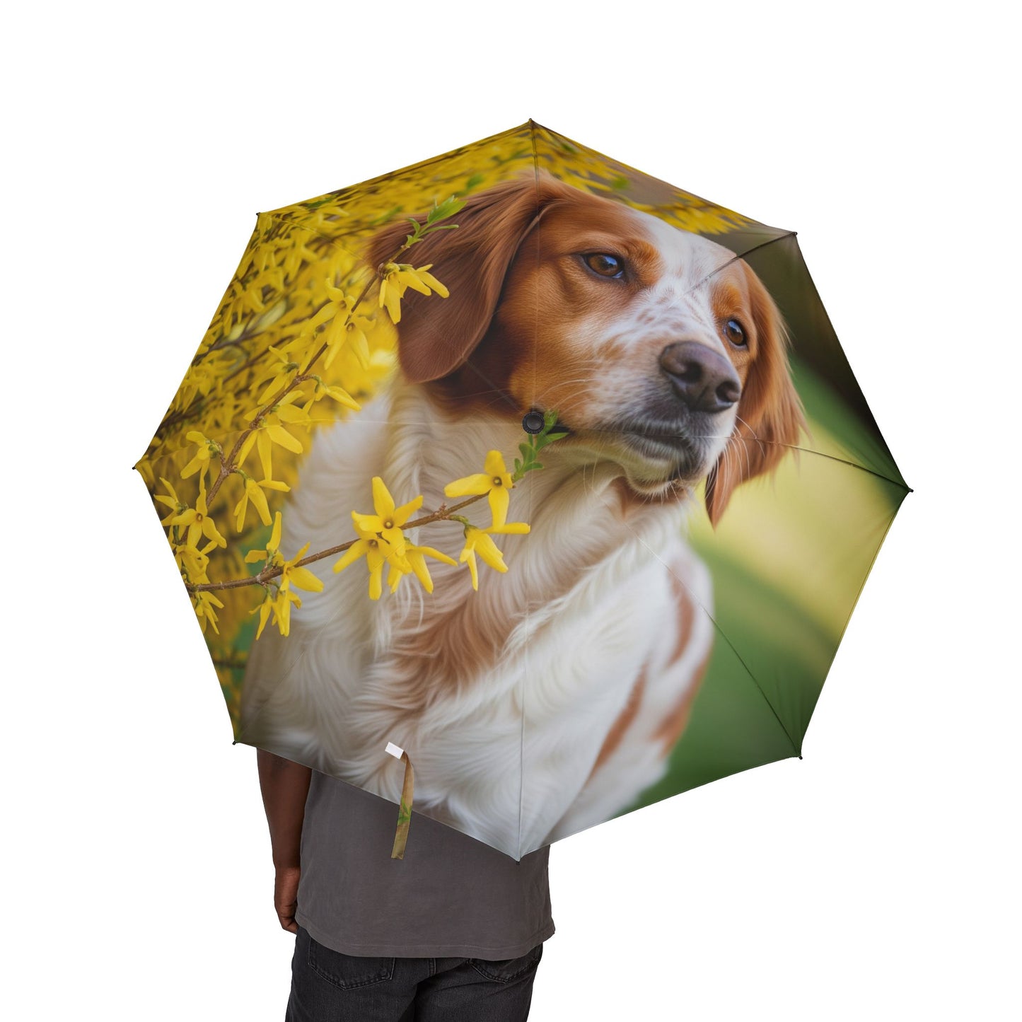 Parapluie pliant semi-automatique Brittany Dog