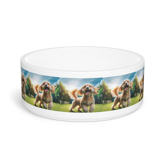 Cavoodle Dog Pet Bowl