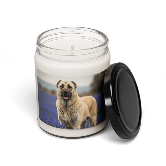 Kangal Shepherd Dog- Scented Soy Candle, 9oz