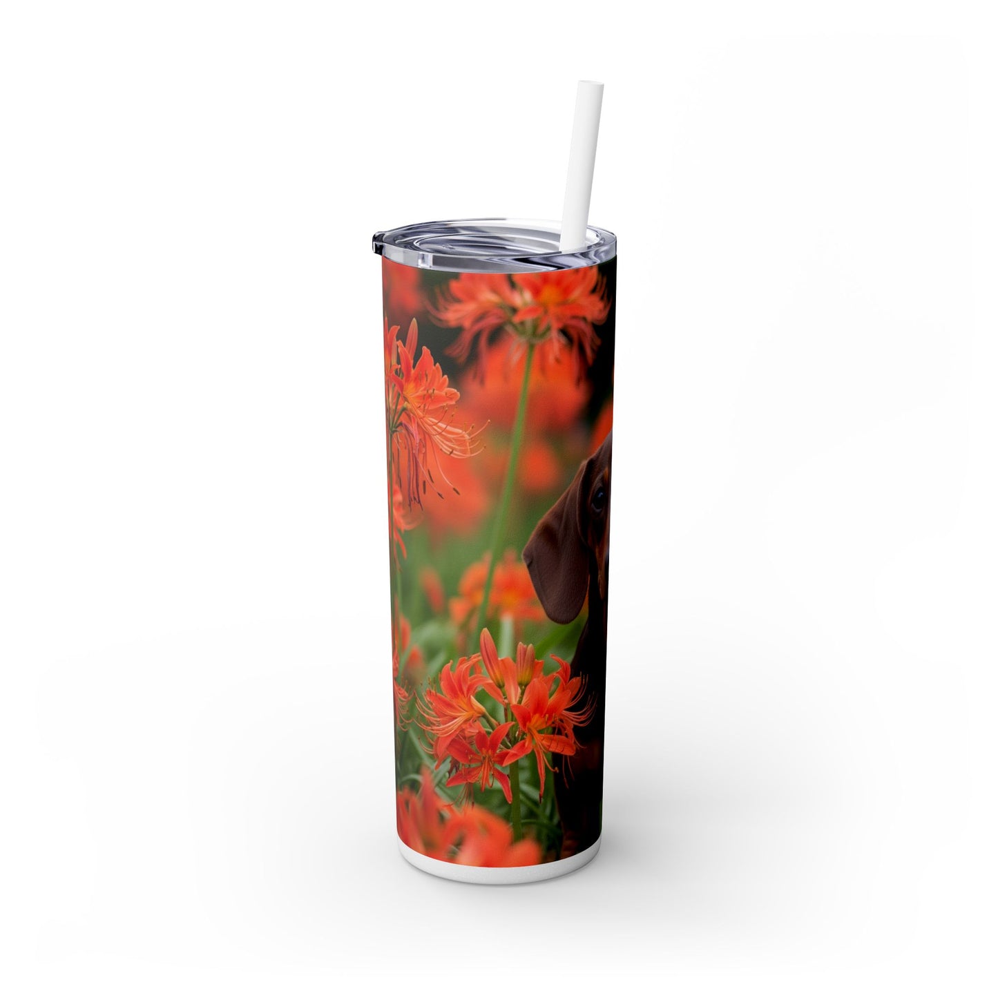 Gobelet isotherme Teckel avec paille, 590 ml