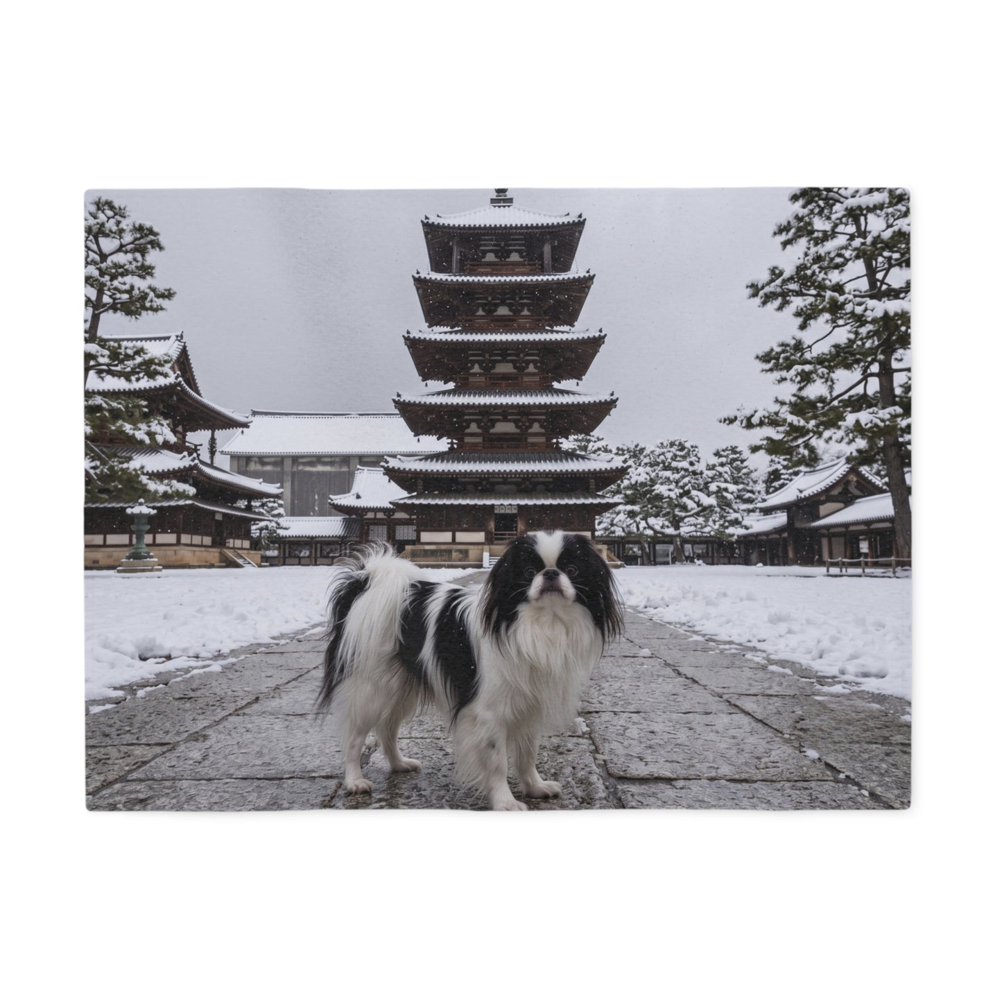Japanese Chin Blanket