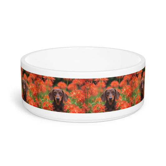 Dachshund Pet Bowl