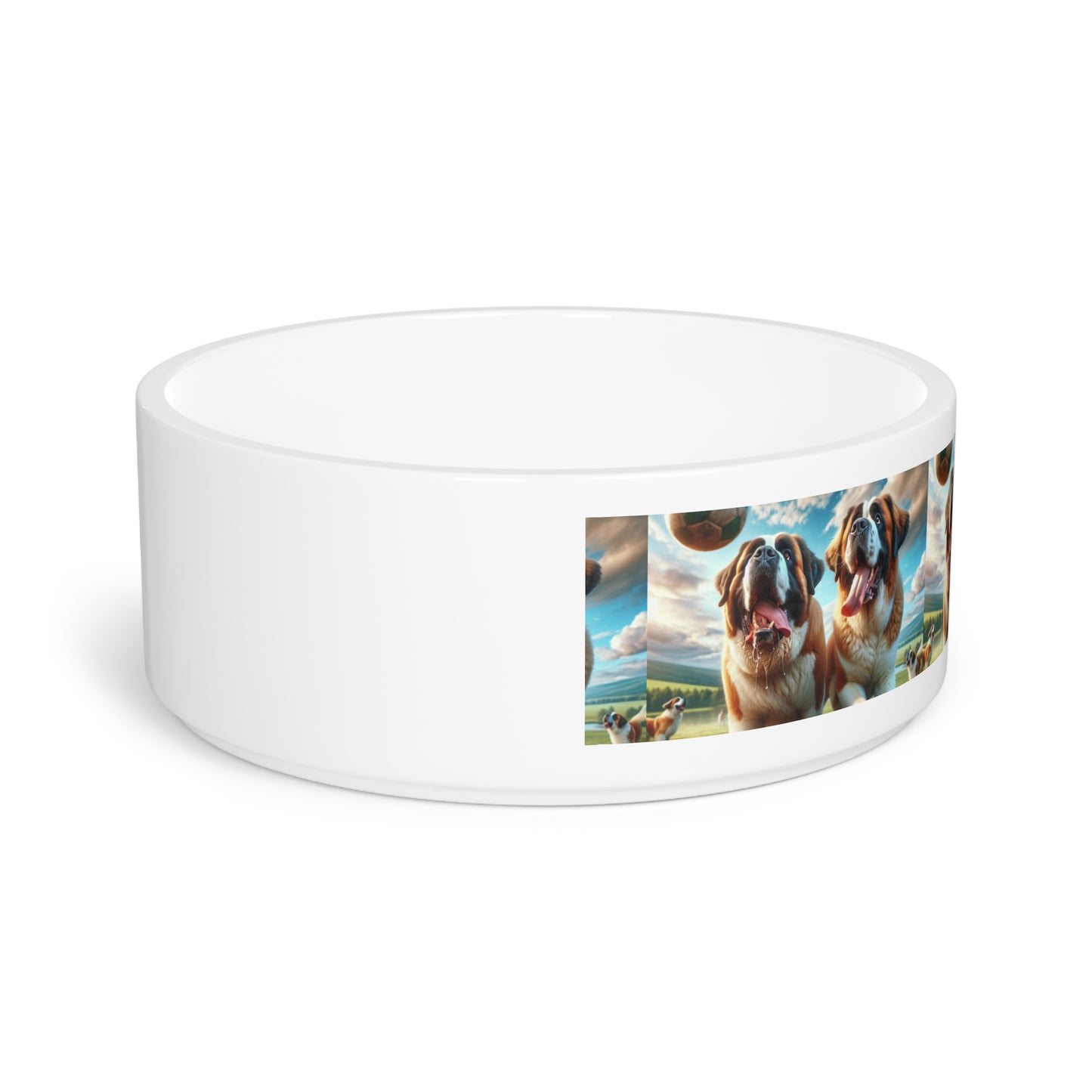 Saint Bernards Pet Bowl