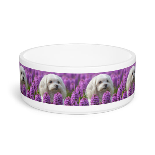 Maltese Pet Bowl