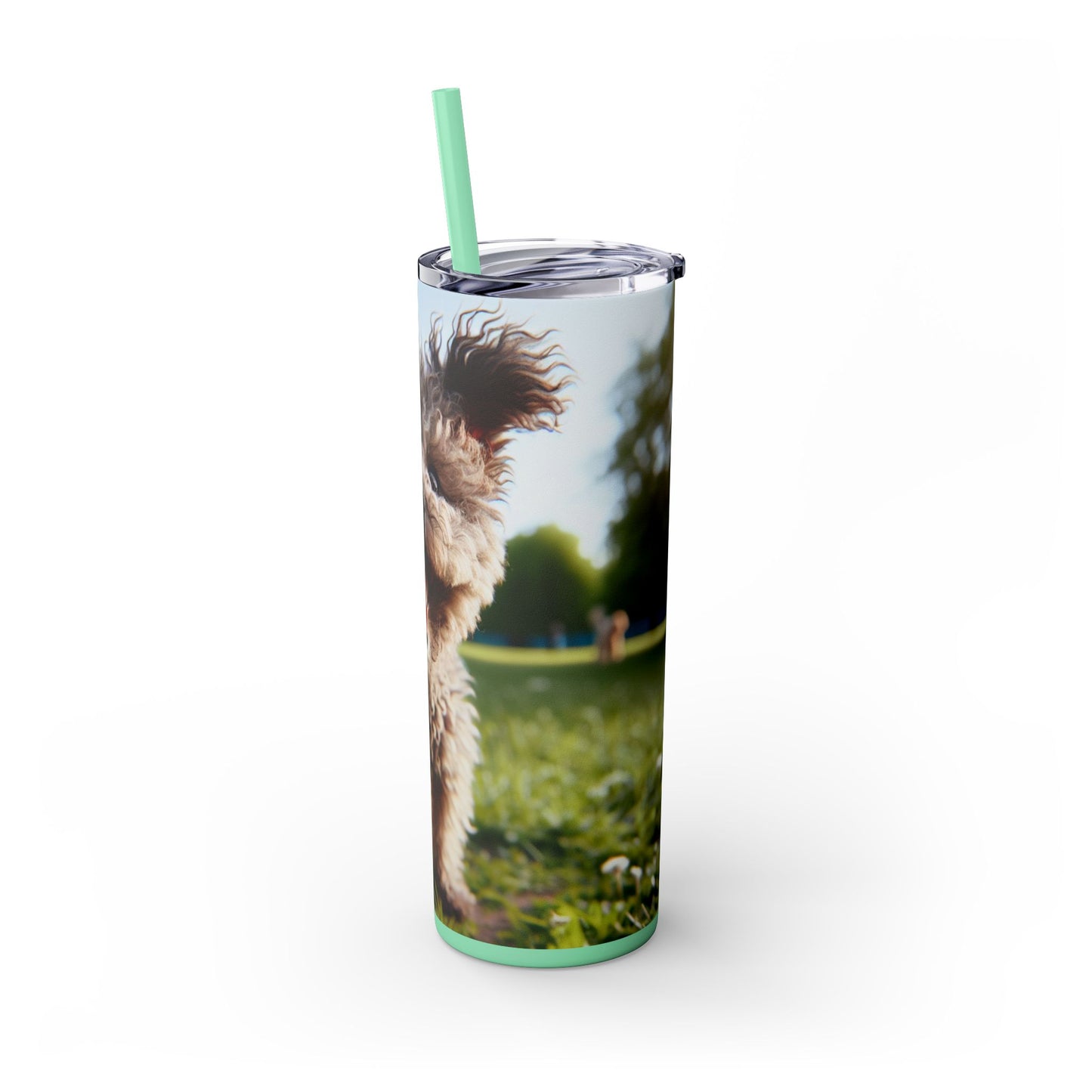 Pumi Skinny Tumbler with Straw, 20oz